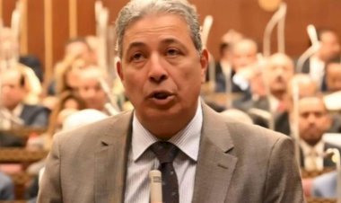 برلماني يطالب بتنظيم أوضح لفكرة الاستضافة والزيارة لمدد محددة لضمان توازن حق الطفل بين الوالدين