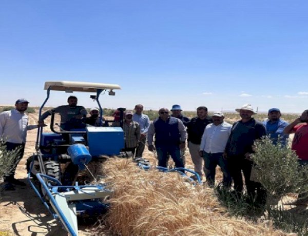 وزير الزراعة يستعرض حصاد عام من "جهود التنمية الزراعية" في سيناء