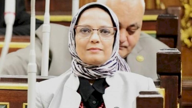 روشتة برلمانية لخفض معدل الإنجاب والتصدي للزيادة السكانية