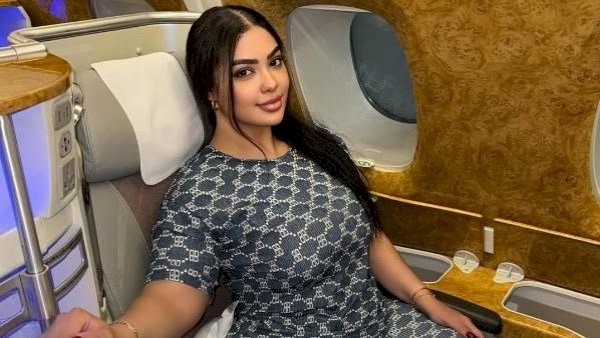 تحديد جلسة عاجلة لنظر استئناف البلوجر نرمين طارق على حكم حبسها 6 أشهر