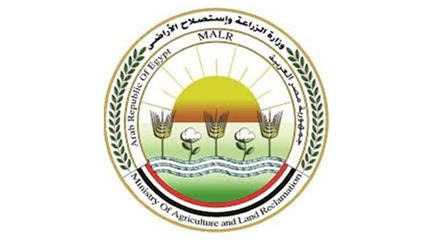 "الزراعة": تحصين 2.1 مليون رأس ماشية ضمن الحملة القومية ضد الجلد العقدي وجدري الأغنام