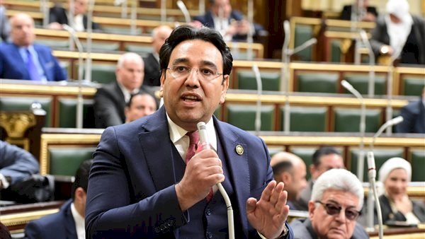 أيمن محسب: إصلاح المنظومة التشريعية للأسرة يعزز الاستقرار المجتمعى للدولة