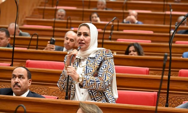 النائبة سحر صدقى: توجيهات الرئيس السيسى بحسم قوانين الأسرة استثمار فى مستقبل النشء  