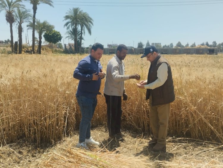 وكيل تعليم سوهاج يتابع استعدادات حصاد القمح بمزرعة الثانوية الزراعية