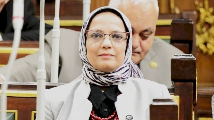 برلمانية بذكرى تحرير سيناء: الدولة تمضى فى مسار الحماية والبناء على أرض الفيروز