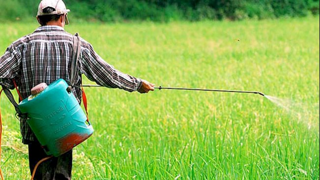 "الزراعة" تحذر من تداول كتب مزيفة منسوبة للجنة مبيدات الآفات الزراعية وتدعو للاعتماد على المصادر الرسمية