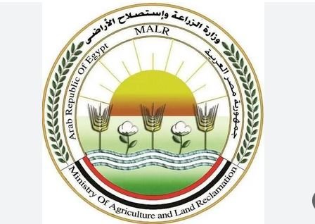 الزراعة تُحذر من تداول لقاحات مجهولة المصدر للتحصين ضد "الحمى القلاعية" سات ١