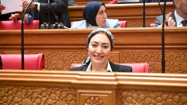 تحرك برلماني عاجل بسبب تعطل سيستم التأمينات وتأجيل الخدمات