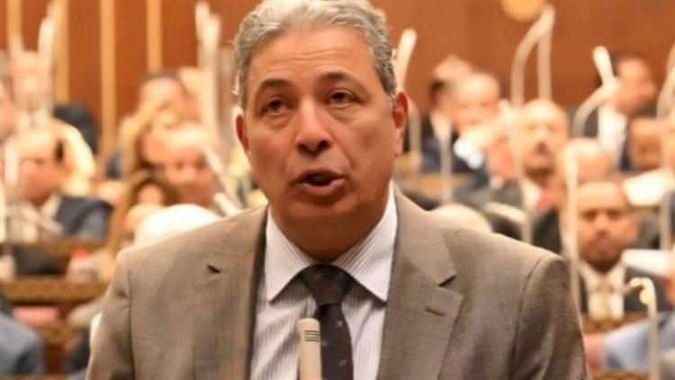 برلماني يطالب بتنظيم أوضح لفكرة الاستضافة والزيارة لمدد محددة لضمان توازن حق الطفل بين الوالدين