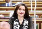 إيرين سعيد: تصنيف المدافعات عن حقوق المرأة بـ«النسويات» مرفوض