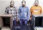 القبض على 3 متهمين وراء ابتزاز مدير تنفيذى بأحد الأندية بالقاهرة