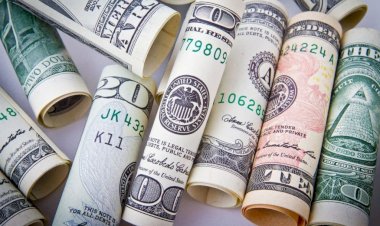 أسعار الدولار في مصر اليوم السبت