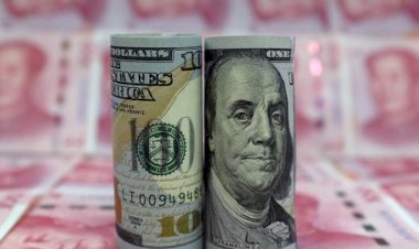 أسعار الدولار في مصر اليوم الأحد