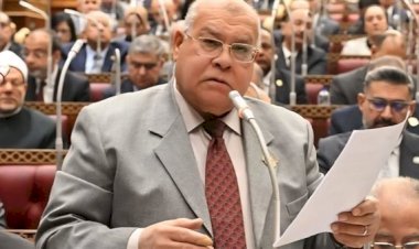 برلماني: تشجيع الاستثمارات الصناعية ركيزة أساسية لتعزيز التنمية الاقتصادية