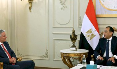 رئيس الوزراء يلتقي سكرتير عام منظمة التعاون الاقتصادي والتنمية