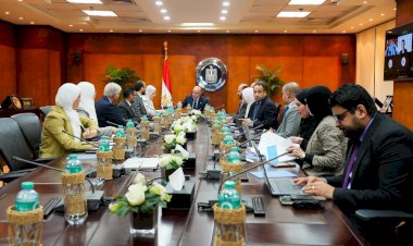وزير الاستثمار يبحث مع منظمة الأمم المتحدة للتنمية الصناعية (يونيدو) سبل تعزيز التنافسية وجذب الاستثمارات