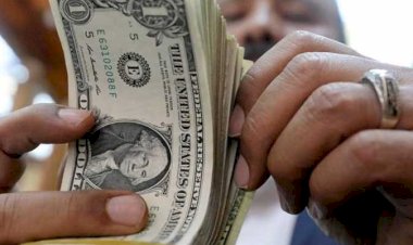 أسعار الدولار في مصر اليوم