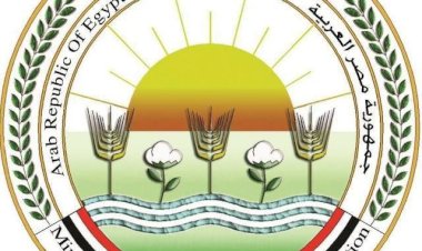 الزراعة: 1919 إجراءً تنظيميًا لمبيدات الآفات خلال أبريل لدعم الإنتاج وضبط السوق