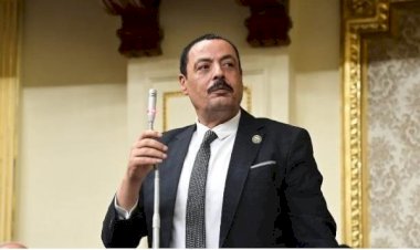 طلب إحاطة حول صعوبة تعامل كبار السن مع الخدمات الحكومية الإلكترونية