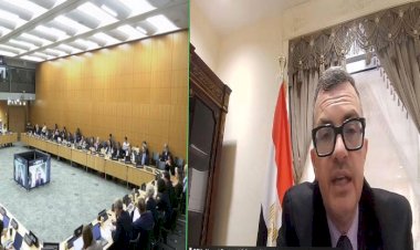 وزير التخطيط يؤكد عمق الشراكة بين مصر والمنظمة لدعم الإصلاحات الاقتصادية وتعزيز الحوكمة