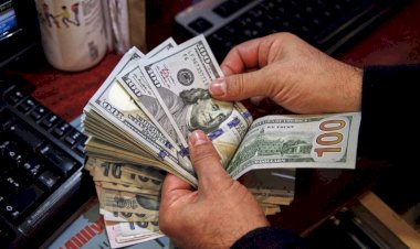 أسعار الدولار في مصر اليوم الجمعه