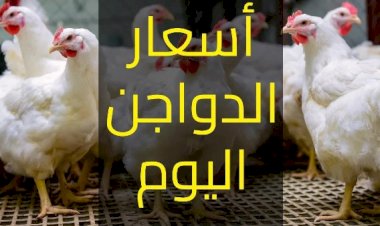 سعر الدواجن اليوم الإثنين في الأسواق