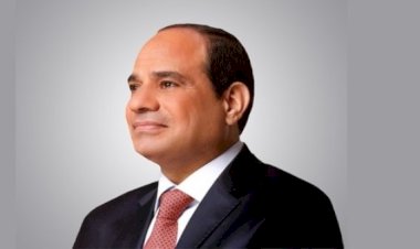 برلماني: كلمة الرئيس بيوم إفريقيا يقود مصر لرؤية شاملة لتعزيز التكامل والتنمية في القارة السمراء