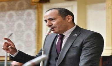 برلماني : مصر تعزز حضورها الإقليمي بتحركات دبلوماسية فاعلة لاحتواء أزمات المنطقة