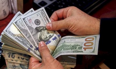 أسعار الدولار في مصر اليوم الأحد