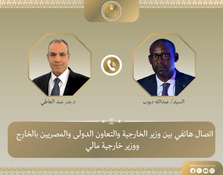 وزير الخارجية يبحث مع نظيره المالي جهود مكافحة الارهاب فى منطقة الساحل