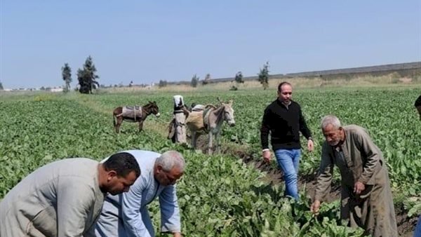 "الزراعة" تعزز التحول نحو الزراعة النظيفة بمنتجات ترفع كفاءة التربة والإنتاج
