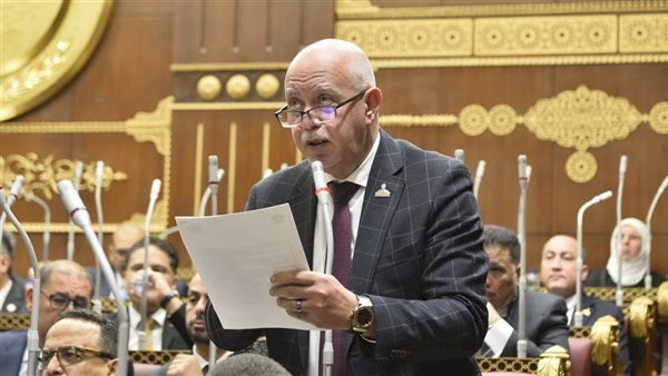 النائب حازم الجندى: زيارة الرئيس السيسى للإمارات تفشل مخططات الإخوان وتؤكد قوة التحالف المصري الإماراتى