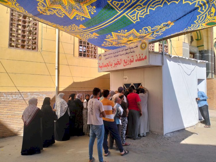 انتظام بيع الخبز المدعم بمنافذ التوزيع بالدقهلية يوميا فى 44 منفذا