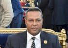 برلماني: ثورة 30 يونيو أنقذت مصر من الفوضى ومهدت لبناء دولة قوية حديثة