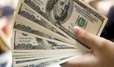 أسعار الدولار في مصر اليوم الأربعاء