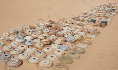 مشروع "مسام" ينزع (798) لغمًا من مختلف الأراضي اليمنية خلال أسبوع