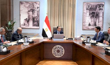 رئيس الوزراء يعرض الصورة النهائية لمبادرة تركيب الألواح الشمسية على مجلس الوزراء