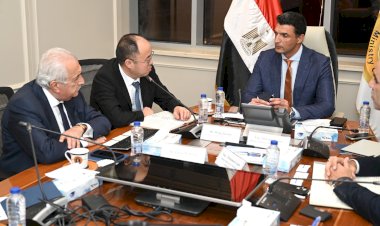 استثمارات صينية بـ550 مليون دولار لإنشاء مصنع إطارات جديد في مصر وتوفير 1600 فرصة عمل