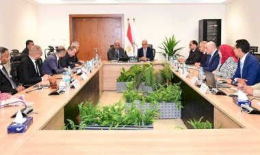 وزيرا الري والكهرباء يتفقان على توسيع استخدام الطاقة الشمسية بمحطات الرفع لدعم التحول الأخضر