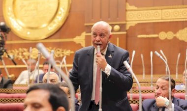 النائب حازم الجندى: القاهرة تقود معركة سياسية لحماية القضية الفلسطينية