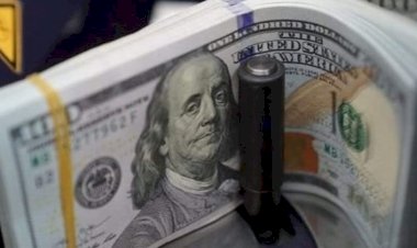 أسعار الدولار في مصر اليوم الجمعة