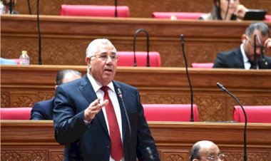 رئيس زراعة النواب: الدعم النقدى يحقق عدالة أكبر فى توزيع الموارد  