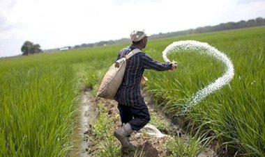 الزراعة: لا ربط بين صرف الأسمدة وشراء المبيدات.. وإحالة مسؤولين للتحقيق ببيلا