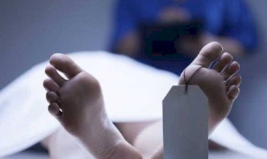 مصرع شاب على يد آخر إثر نشوب مشاجرة بينهما في طلخا بالدقهلية