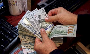 29.56 مليار دولار تحويلات في 2024.. مصر سابع أكبر دولة متلقية للتحويلات المالية عالميًا