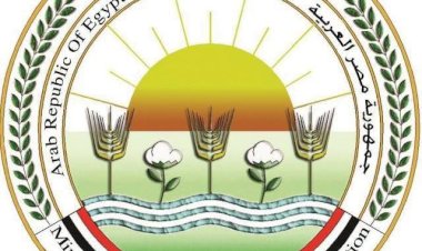 بـ 8 مليون جرعة .. "الزراعة" تختتم الحملة القومية لتحصين الماشية ضد الحمى القلاعية وحمى الوادي المتصدع