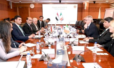 وزير الصناعة يبحث مع سفير أيرلندا لدى مصر وممثلي هيئة المشروعات الأيرلندية تعزيز التعاون الصناعي