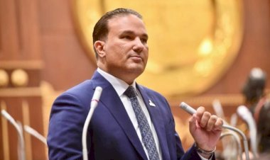 برلماني: قرار الرئيس السيسي بزيادة المعاشات 15% يضمن الحياة الكريمة لكبار السن