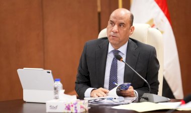 وزارة العمل: 2.94 مليار جنيه لحماية العمال وتأهيل الشباب منذ 2002 تنفيذًا لتوجيهات الرئيس السيسي