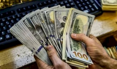 أسعار الدولار في مصر اليوم الأحد